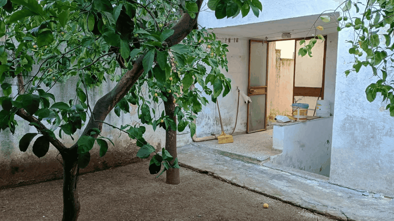 Giano Group Immobiliare